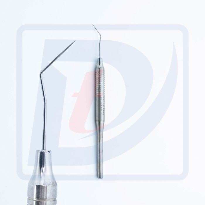 Sonda dentara
