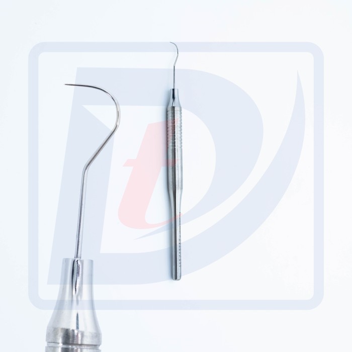 Sonda dentara