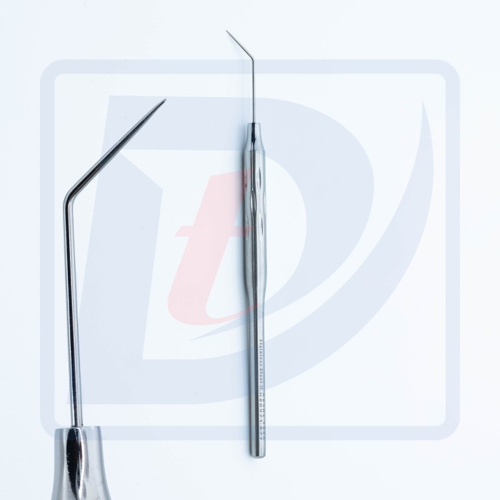 Sonda dentara