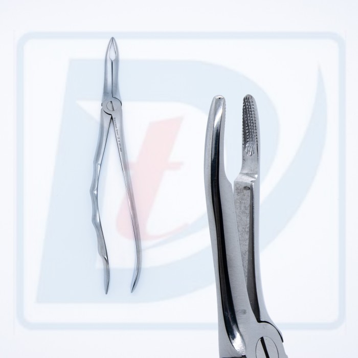 Cleste Extractie Adult