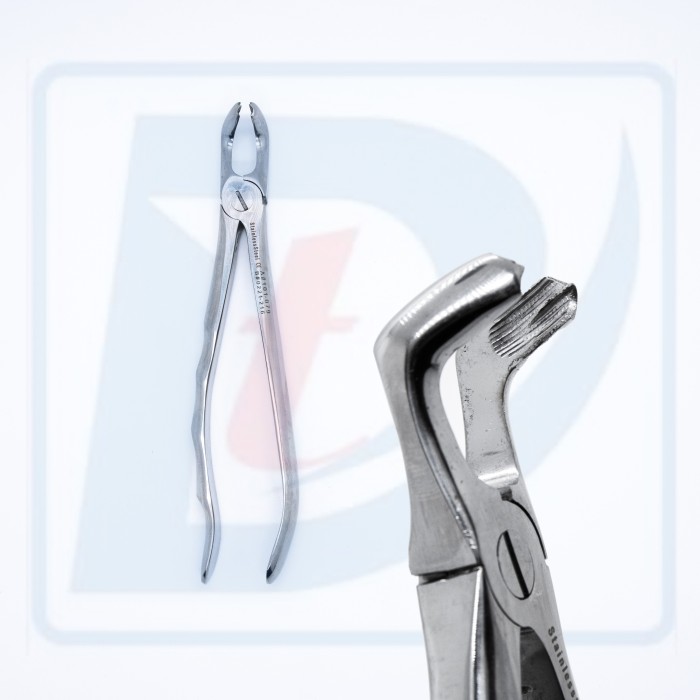 Cleste Extractie Adult