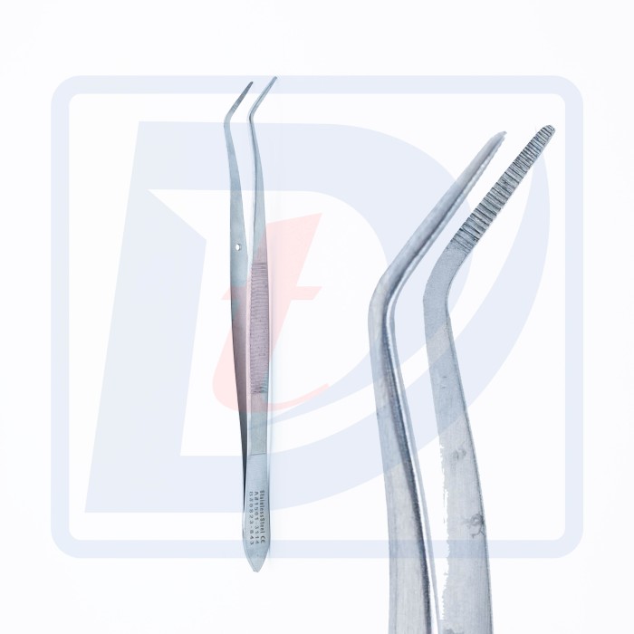 Pensa Dentara Merriam