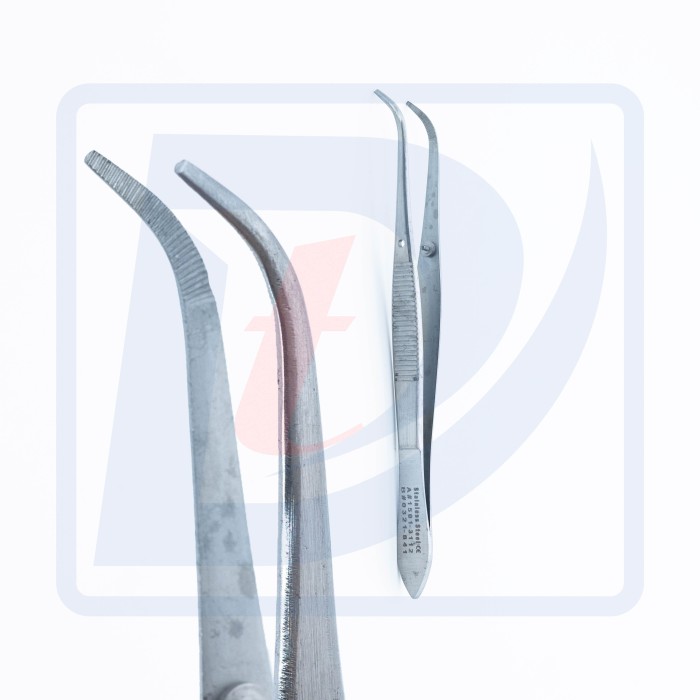 Pensa anatomica